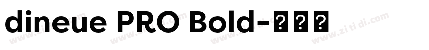 dineue PRO Bold字体转换